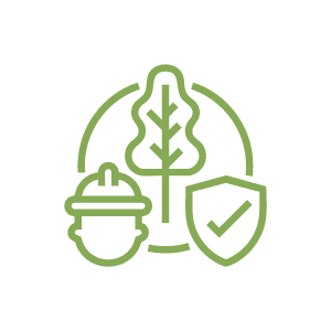 Safety-&-Environment